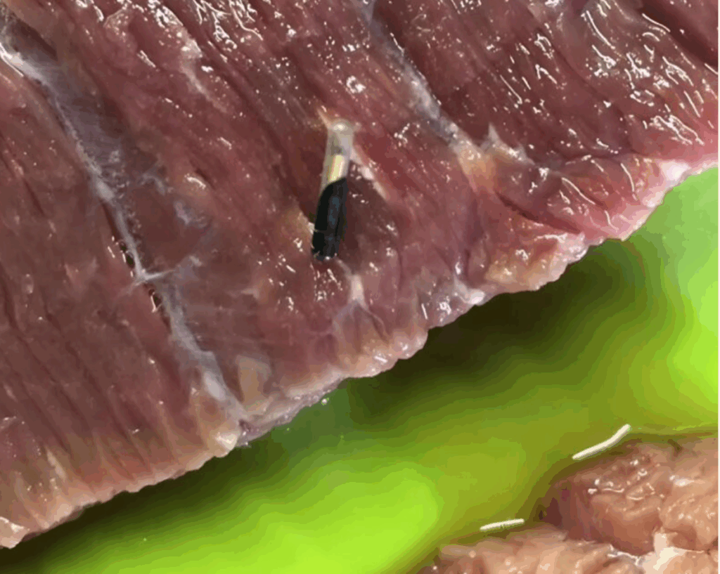 Vettem húst a boltban, de amikor kinyitottam, valami furcsát találtam benne: megdöbbentem, amikor rájöttem, mi az, és hogyan került a húsomba.