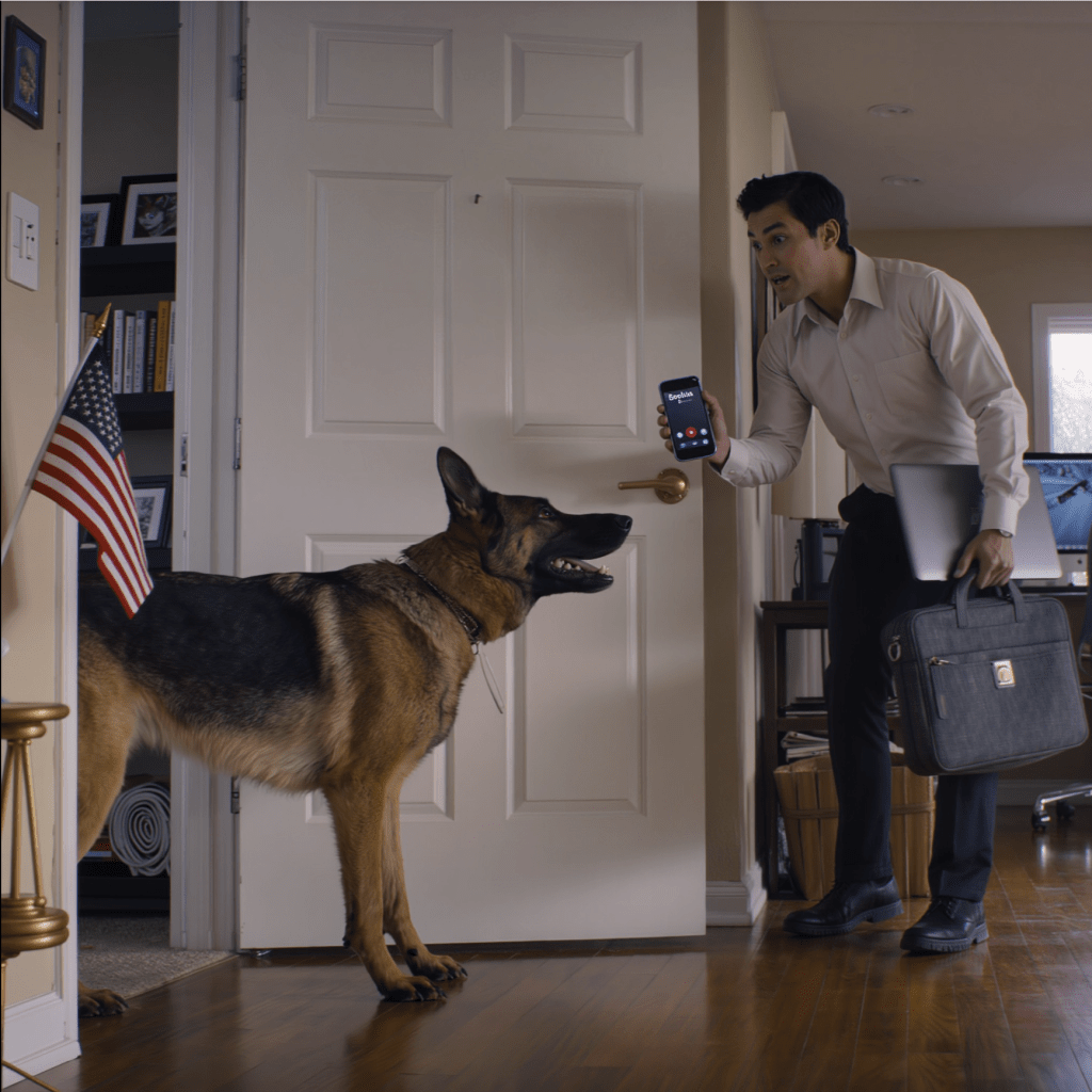 A kutyám morgolódva elállta az ajtót – otthon maradtam, majd a főnököm zokogva hívott fel: „Mindenki, aki bejött…”